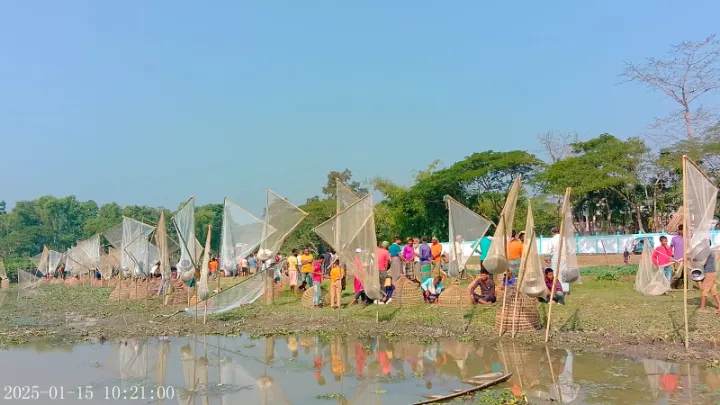 বিশ্বনাথের,  গোয়াহরি বিলে,  পলো বাওয়া,  উৎসব সম্পন্ন